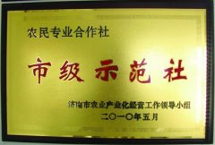 市級示范社